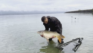 Na Zemplíne sa začala jedna z najväčších rybárskych súťaží v Európe. Kapry lovia desiatky družstiev