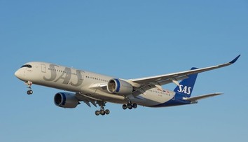 Lietadlo muselo predčasne pristáť. Z podávaného jedla vyskočila myš