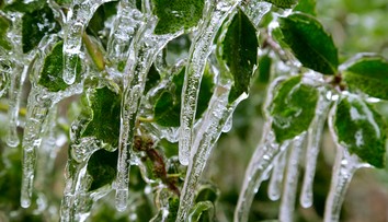 Na Šumave zaznamenali rekordne nízku teplotu