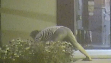 Zlodejov rastlín neodrádzajú ani kamery. Za sadeničky z námestia si vďaka nim poriadne priplatia