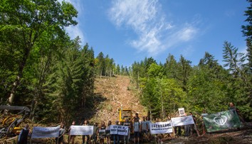 Ochranári upozorňujú na kontroverznú ťažbu dreva vo vzácnej lokalite. Avizujú trestné oznámenie