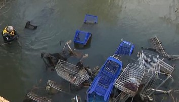 Bobry v tom tentoraz boli nevinne. Na Malom Dunaji vznikla nelegálna hrádza z nákupných vozíkov