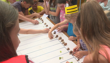 Bizarné preteky mimoriadne potešili deti. V obci pri Sabinove učili šprintovať slimákov