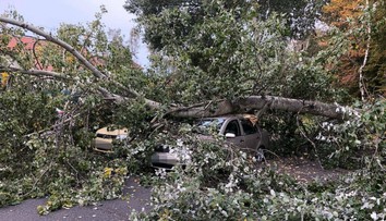 Veterná búrka Mortimer vyvracala v Česku stromy. Hlásia aj výpadky energie