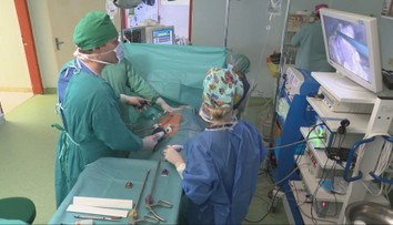 Kus seba venovali druhým, aby im zachránili život. Desiatky darcov obličiek sa stretli v Košiciach