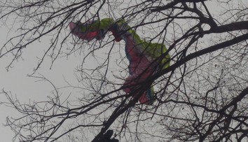 Paraglajdista skončil na strome pri Malackách. Zachraňovali ho aj hasiči