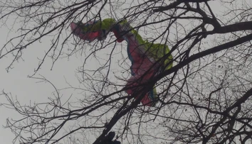 Paraglajdista skončil na strome pri Malackách. Zachraňovali ho aj hasiči