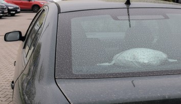 Desaťtisíce áut na Slovensku zašpinil piesok zo Sahary: Autá sa umývať ešte neoplatí