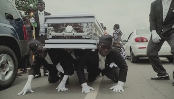 Aj tento rok bol bohatý na kuriozity, tieto nás zaujali najviac