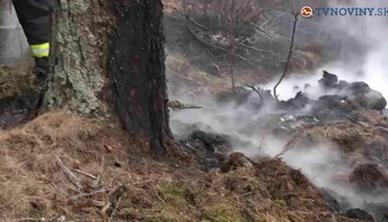 V Malých Karpatoch horí les