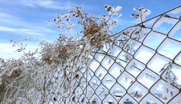 Na Slovensko prichádza ochladenie aj nočné mrazy, oteplí sa až o pár dní