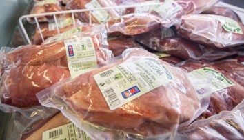 Anglicko by o pár rokov mohlo začať predávať špeciálne mäso vyrobené v laboratóriu