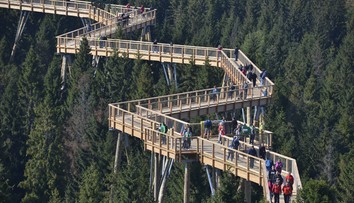 Absolútna rarita na Slovensku! V Bachledke otvorili chodník medzi korunami stromov