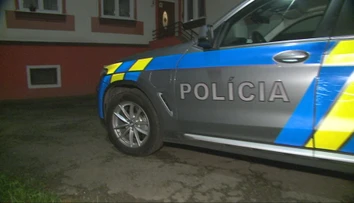 Svoju mamu mal biť a škrtiť. Obžalovaný z vraždy sa postavil pred sudcu