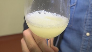 Burčiak môže byť až životu nebezpečný. Na toto si pri kvasení musíte dať pozor