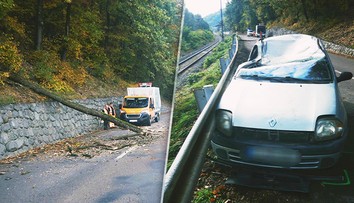 GALÉRIA: Na ženu v aute spadol pri Hronskom Beňadiku desaťmetrový strom