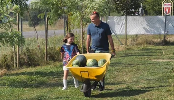 Už aj na severe Slovenska sa darí melónom. Pestovateľ pri Púchove ich zbiera na tony