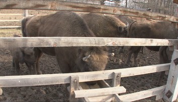 Jedinečnú atrakciu opäť otvorili. Turisti však musia dodržiavať prísne bezpečnostné opatrenia