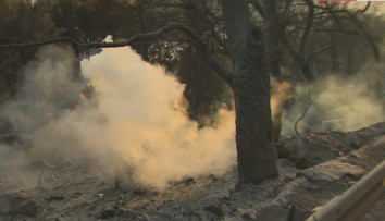 Požiar pri chorvátskom Šibeniku majú hasiči pod kontrolou. Z miesta sa stalo veľké zhorenisko