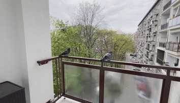 Okupujú balkóny a výkalmi ohrozujú naše zdravie. Tu je niekoľko rád, ako odohnať holuby