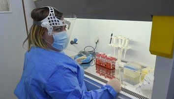 Vedci varujú pred novým kmeňom vírusu, ktorý spôsobuje krvácajúcu horúčku Chaparé