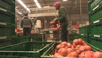 Budúci rok možno budeme cez niektoré sviatky a voľné dni pracovať. Štát totiž potrebuje peniaze