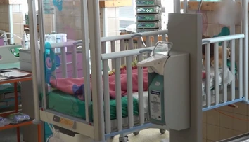 Pes napadol dievčatko (5), dohrýzol ju do hlavy a krku. Tu sú podrobnosti útoku