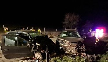 Vážnu nehodu pri Bzinciach zavinil diviak. Vodič po zrážke so zverou narazil do protiidúceho auta