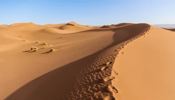 Sahara bola kedysi plná zelene. Vedci pravdepodobne zistili, prečo sa zmenila na púšť