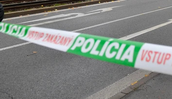 Vlastnej sestre sa vyhrážal smrťou a hodil po nej mikrovlnku, polícia muža (44) z Nemšovej obvinila