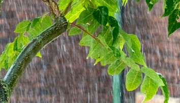 Teplotný šok aj extrémne zrážky. Meteorológovia spresnili nebezpečné predpovede na nasledujúce dni