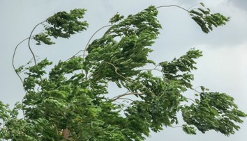 Dážď nebude jediný problém. Tieto časti Slovenska sa musia pripraviť aj na silný vietor nad 100 km/h