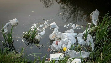 Ako veľmi obklopuje Zem a naše zdravie plast? Výskum preukázal šokujúce zistenie