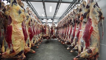 Po škandále s mäsom pristúpilo Poľsko k ráznemu kroku
