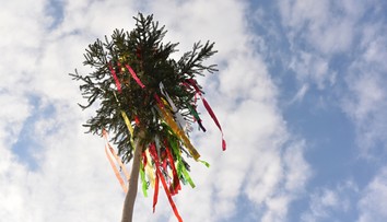 Na ženu spadol máj, nešťastie neprežila