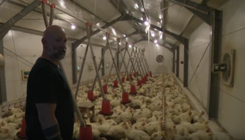 Rukami mu prejde 10-tisíc kurčiat ročne. Farmár Marek ich zákazníkom rozváža osobne