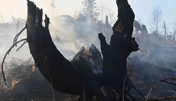 Výročie havárie DC-3: Letenka do Košíc na vlastnú svadbu sa jej stala osudnou