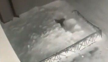 VIDEO: Dievča (6) sa druhýkrát narodilo. Po páde zo štvrtého poschodia prešlo po vlastných