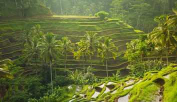 Tragédia na indonézskom ostrove. Pri zosuve pôdy zahynuli dvaja zahraniční turisti