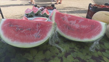 Ak ste si kúpili slovenský melón, zrejme vás oklamali. Krajina pôvodu však nie je to najdôležitejšie