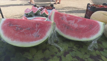 Ak ste si kúpili slovenský melón, zrejme vás oklamali. Krajina pôvodu však nie je to najdôležitejšie