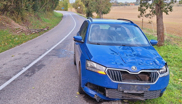 Pozor, dvíha sa vietor. Na Záhorí spadol na idúce auto strom