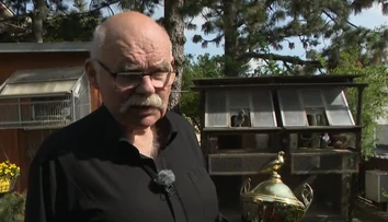 Tvrdí, že chovateľstvo je vysoko návykové a skvelá psychohygiena. Peter Vačok sa chovu holubov venuje celý život
