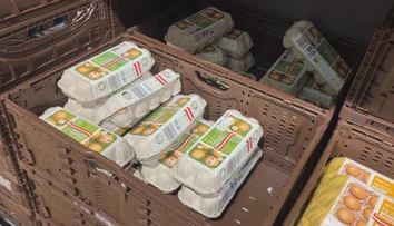 Zákaz klietkového chovu a cena vajec. V Rakúsku sme zažili šok
