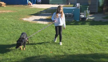 Nemohli uveriť tomu, čo priniesla. Desaťročná školáčka sa zriekla narodeninového darčeka, aby pomohla útulku