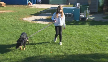 Nemohli uveriť tomu, čo priniesla. Desaťročná školáčka sa zriekla narodeninového darčeka, aby pomohla útulku