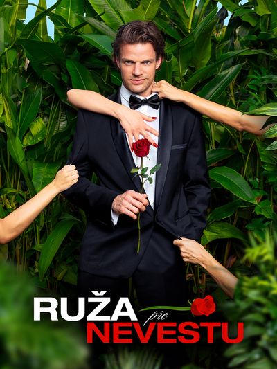 Ruža pre nevestu