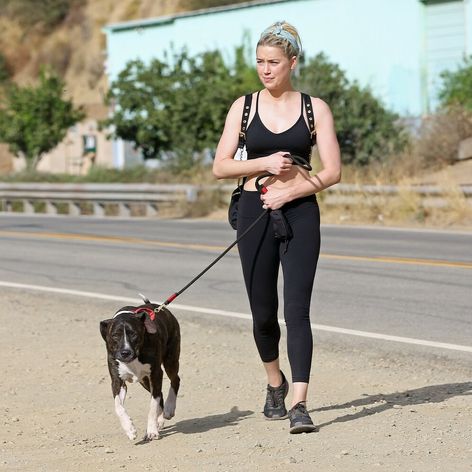 Amber je milovníčka psov.