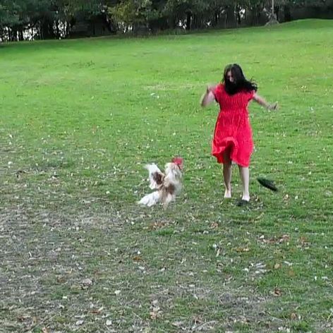 Giuliana sa bráni útoku agresívneho kohúta