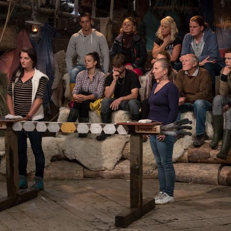 Metalinda - Ján Amos Džínový